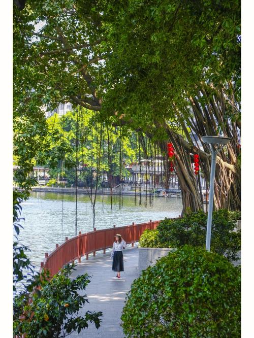荔湾湖公园：羊城西关的绿色瑰宝