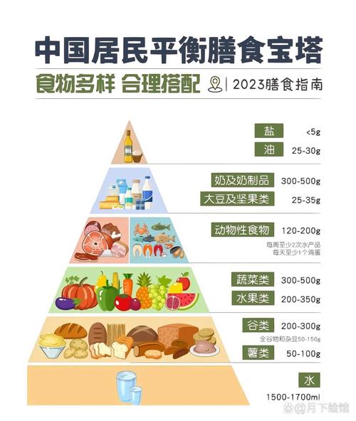 解锁健康活力之源：构建营养均衡的膳食宝典