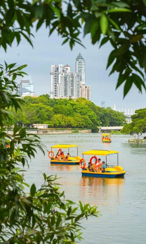 流花湖公园：广州的绿色宝藏与城市休闲新地标
