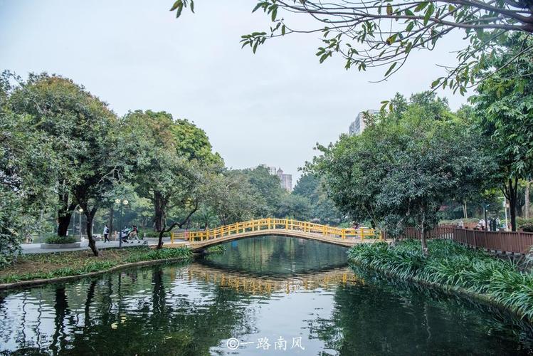 晓港公园：广州海珠区的翠竹雅韵与历史文化交织的休闲胜地