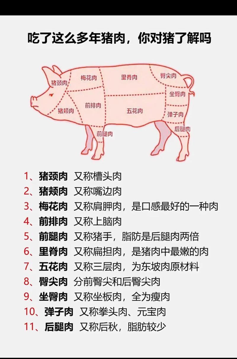 详细阅读:猪肉:从农场到餐桌的全面解析 猪肉:从农场到餐桌的全面解析