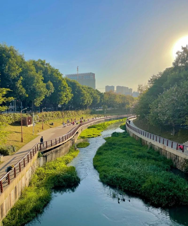深圳大沙河公园：城市绿洲，生态典范