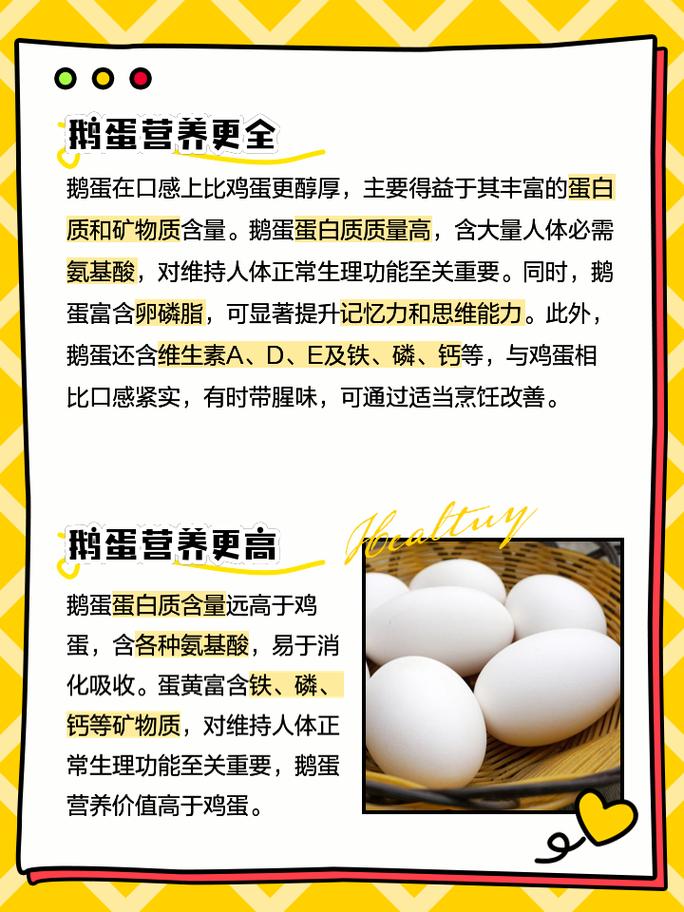 鹅蛋的奇妙世界：营养、烹饪与文化