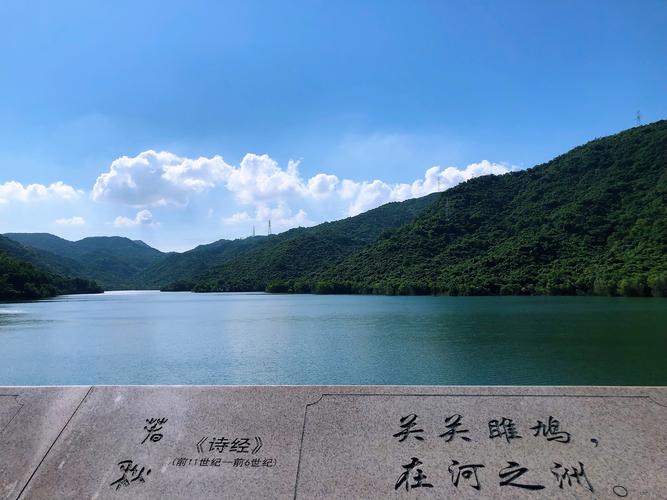 梅林水库绿道：城市喧嚣中的自然宝藏