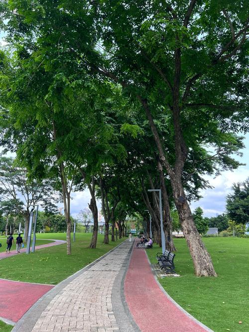 香蜜公园：城市绿洲中的文化与生态瑰宝