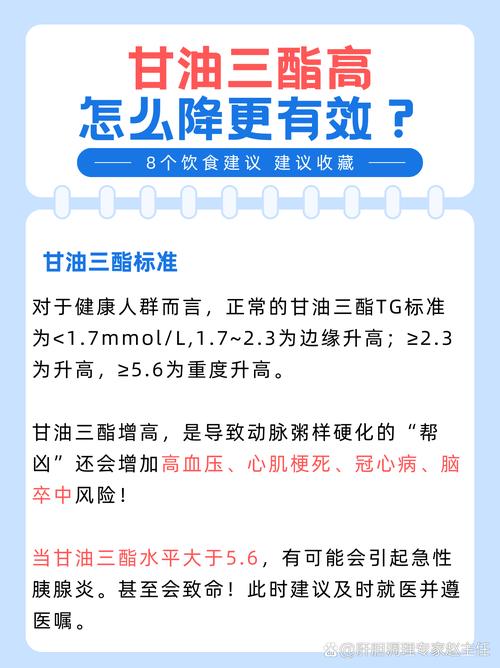 甘油三酯：身体能量的储存者与健康指标