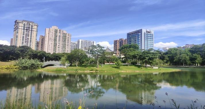 深圳四海公园：城市绿洲，休闲胜地