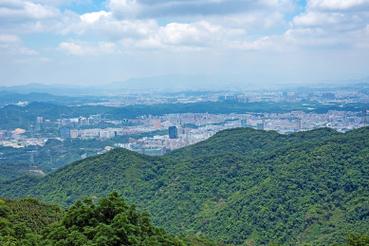 羊台山森林公园：城市中的自然绿洲