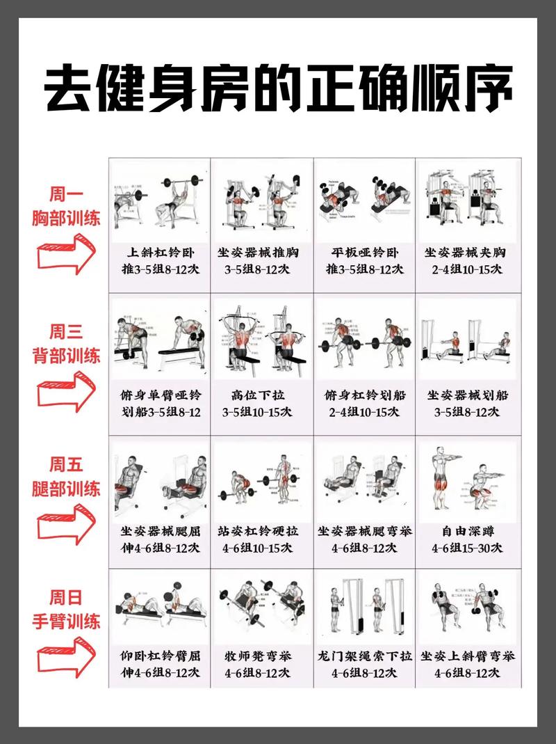 健身之路：塑造健康与活力的全方位指南