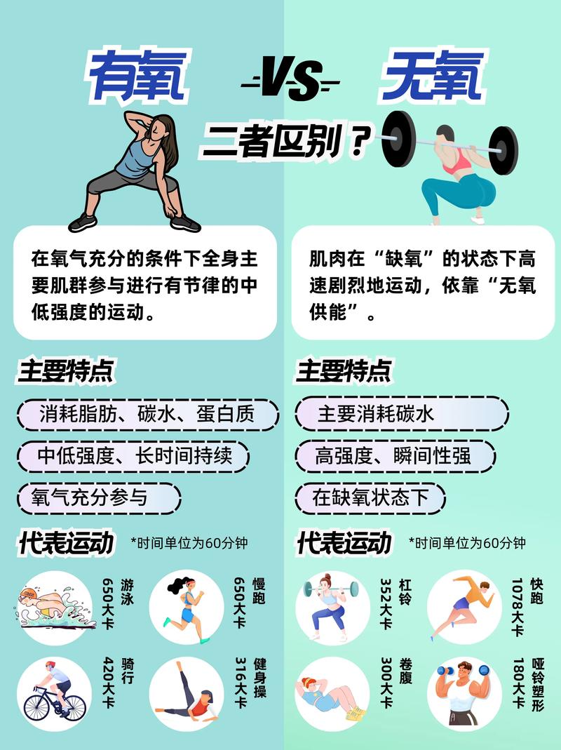 无氧运动：探索高效健身之道