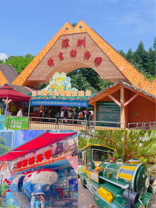探秘自然奇境，畅游深圳野生动物园