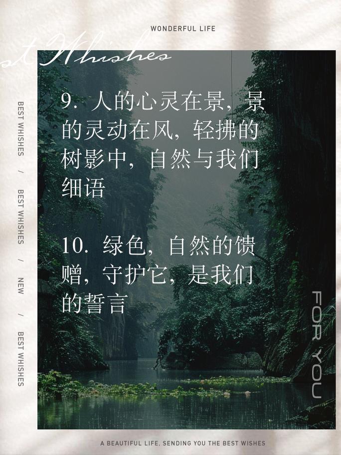 青青世界：探寻自然与心灵的诗意栖居