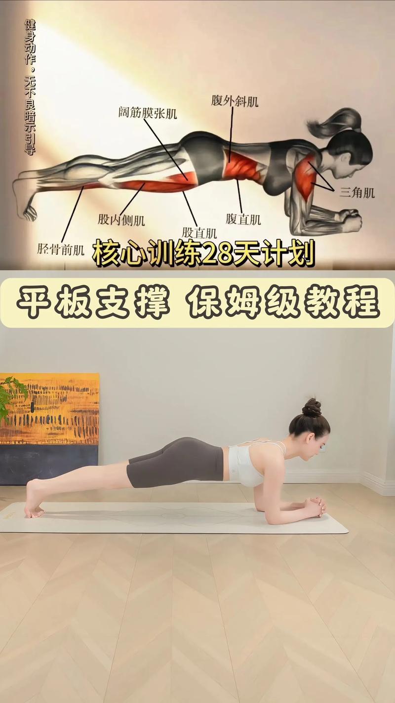 深入探索平板支撑的奥秘