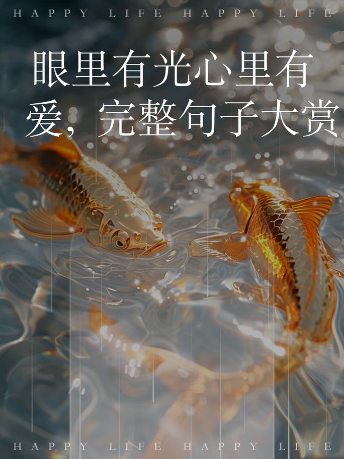 爱的微光，照亮心灵的明朗