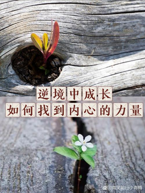 拥抱挑战，成就未来 —— 在逆境中寻找成长的力量