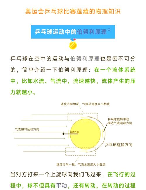 乒乓球的奥秘与魅力：探索这项全球性运动的深层内涵
