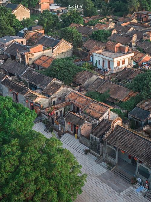 光明小镇迳口村：历史与现代交织的广府古村落