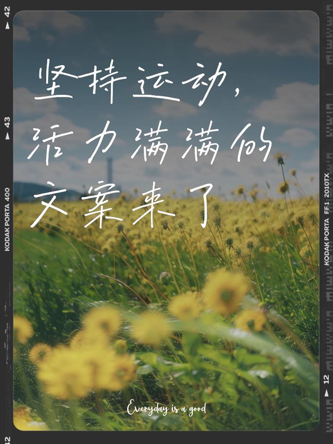 详细阅读:运动:健康生活的基石与活力之源 运动:健康生活的基石与活力之源