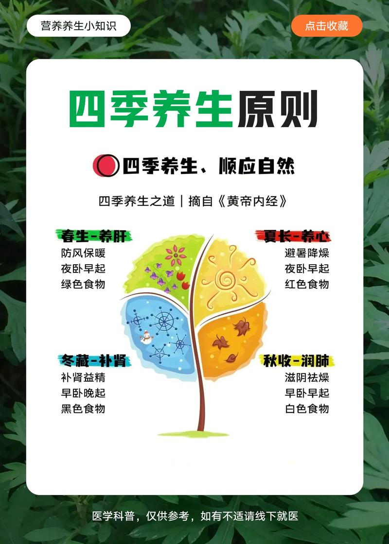 四季养生之道：顺应自然，调和身心
