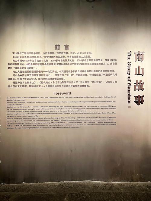南山文化馆：南山区文化艺术的璀璨明珠与抗疫先锋