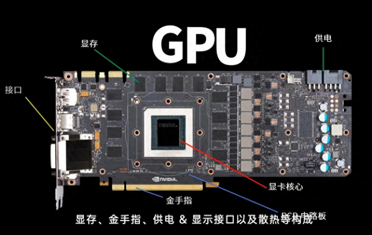 图形处理器（GPU）