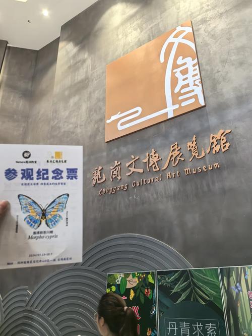 龙岗文化馆：传承地域文化，点亮多彩生活