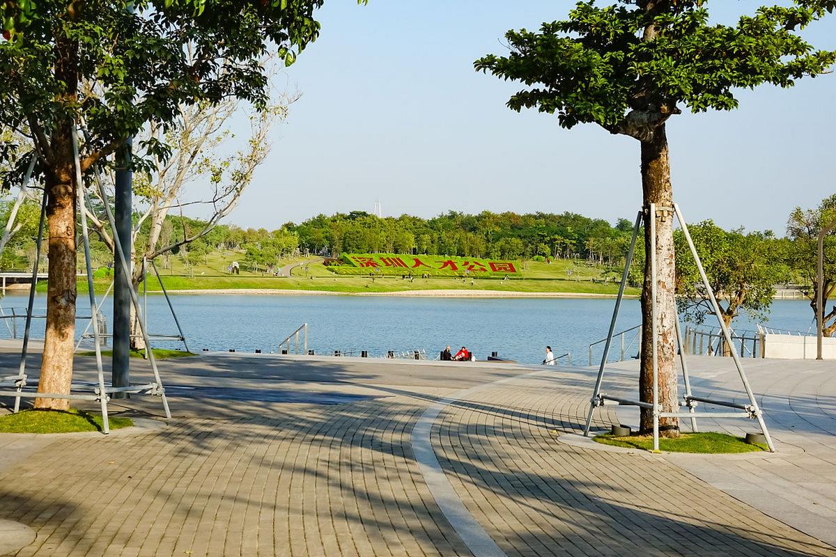 皇岗公园：城市绿洲，休闲胜地