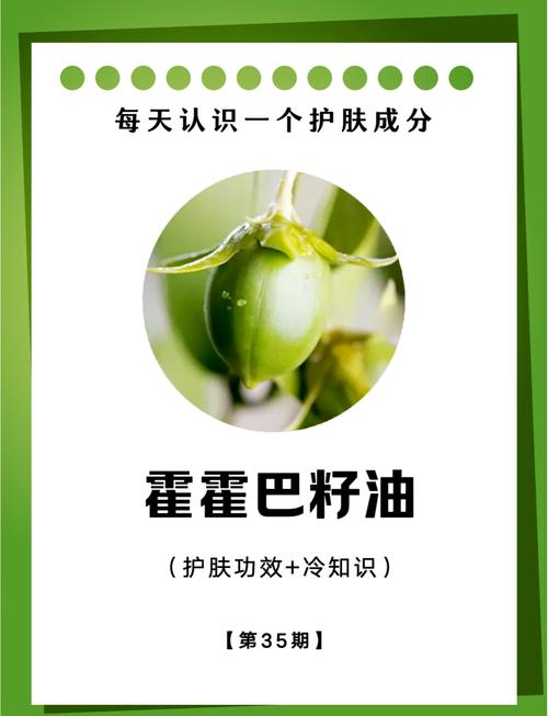 油的奥秘与应用