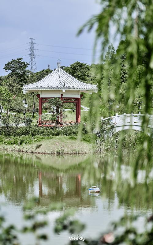 松岗公园：深圳西北的绿色明珠