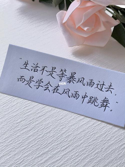 生活不是等待风暴过去，而是在风雨中学会跳舞