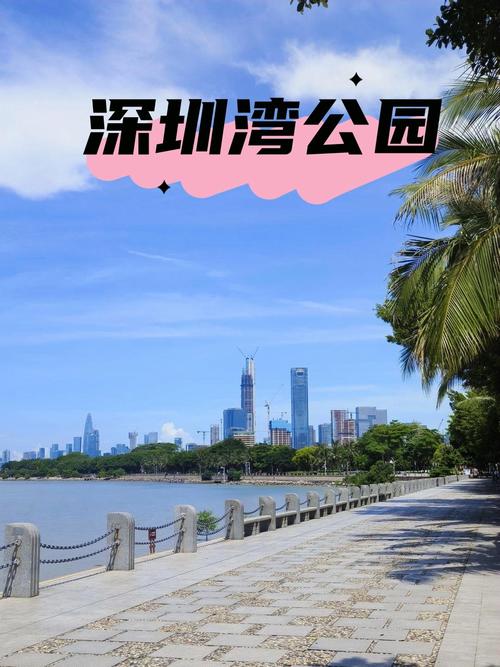 深圳音乐公园：城市中的旋律绿洲