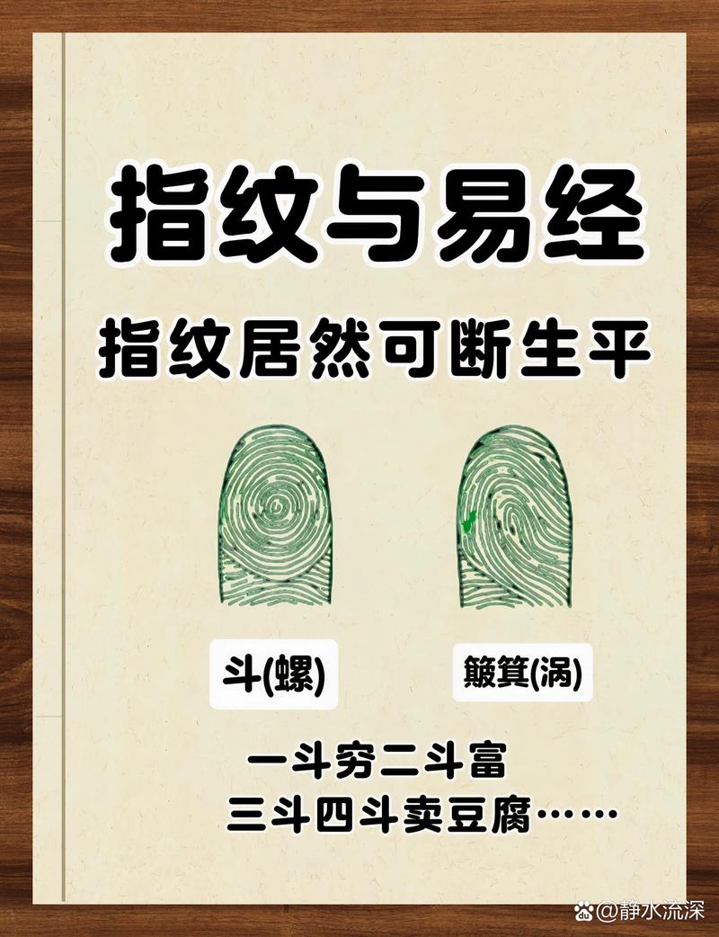指纹识别技术：从基本原理到广泛应用的探索