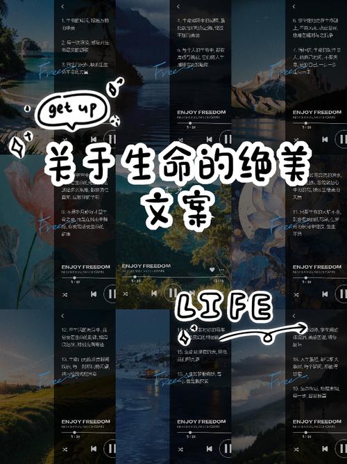 强壮：身心的双重雕琢与生命力量的绽放