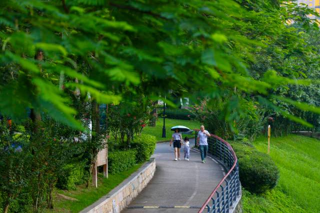 福田河绿道：城市中心的绿色诗篇