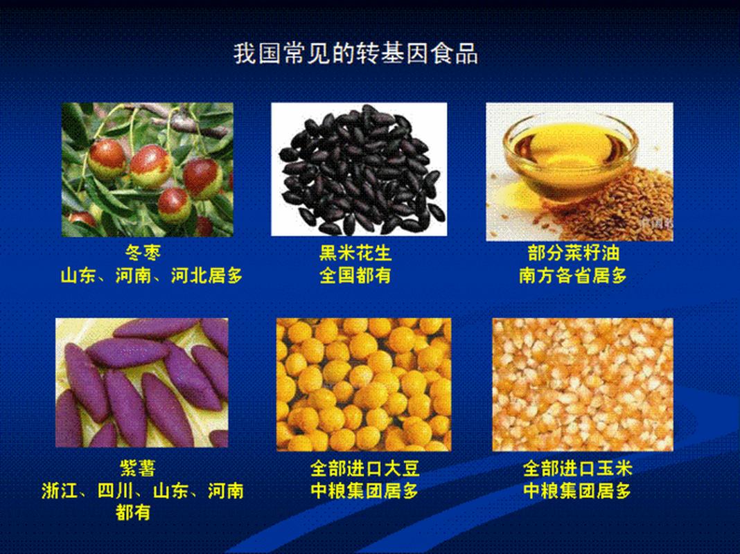 详细阅读:转基因食品:科技与生活的交织 转基因食品:科技与生活的交织