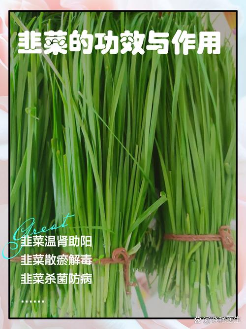 韭菜：从田间到餐桌的传奇