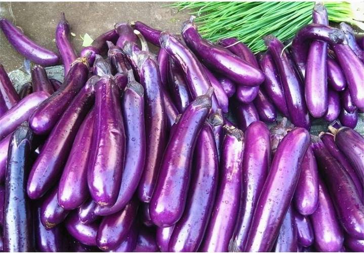 茄子：从田园到餐桌的紫色瑰宝