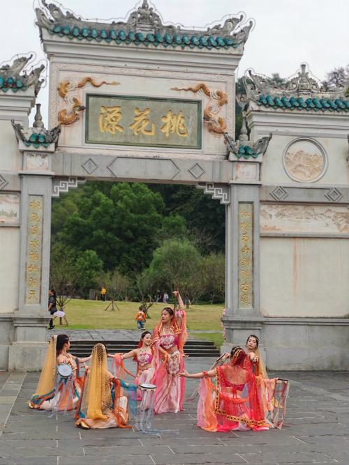 五龙桃花故里的传奇与魅力