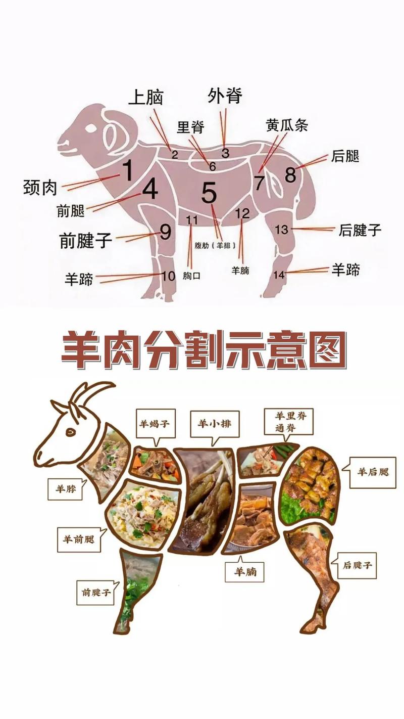 详细阅读:羊肉的美味与营养 羊肉的美味与营养