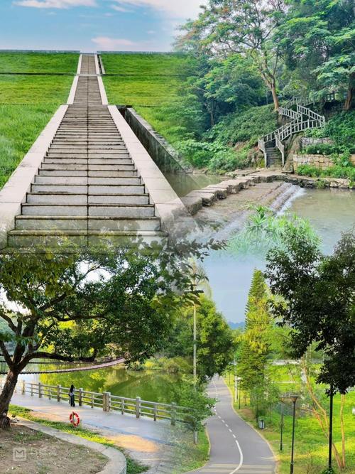 深圳东湖公园：城市绿洲中的自然与文化瑰宝