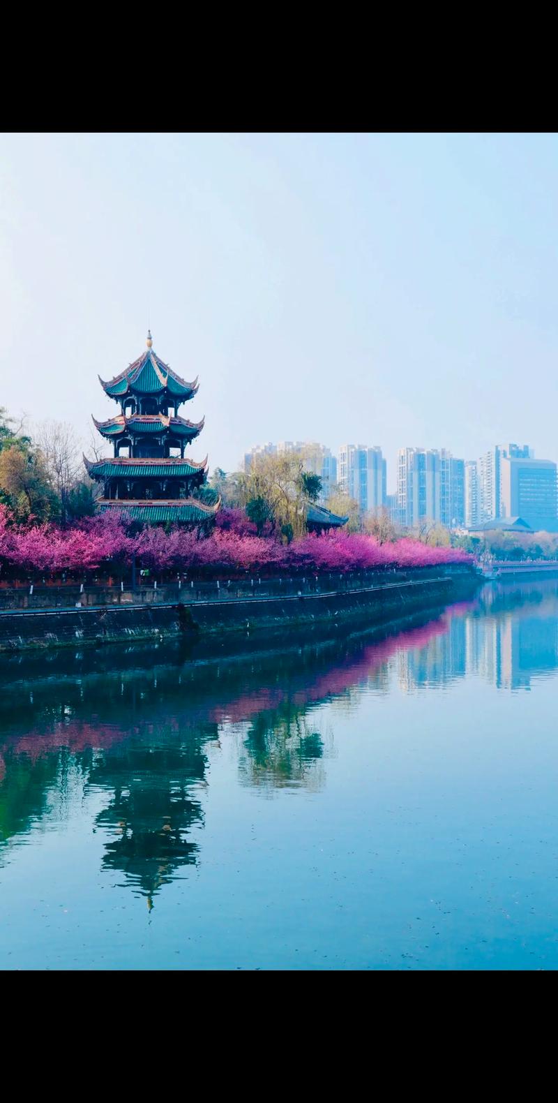 望江公园：历史与自然的交融
