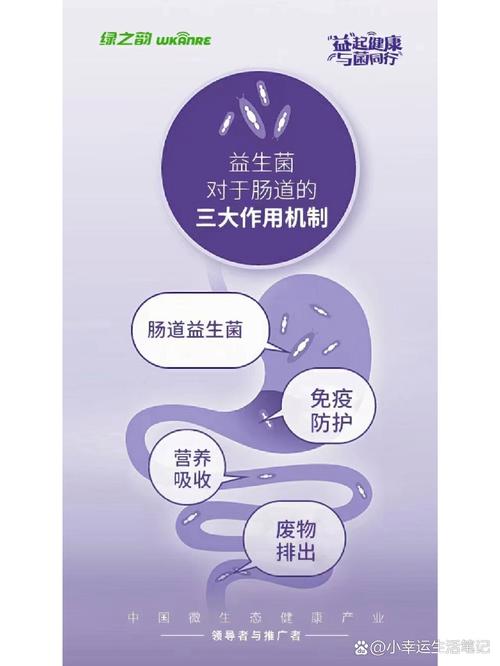 益生菌的奥秘：从肠道健康到全身益处