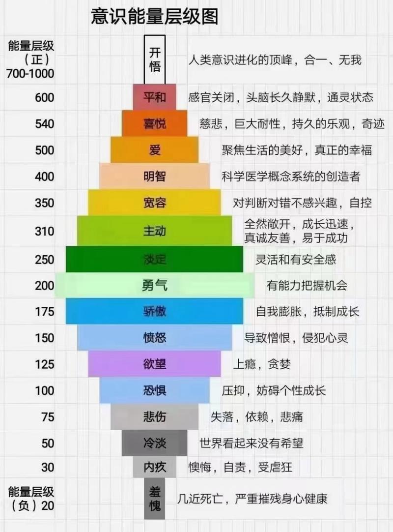 脂肪酸：生命的能量基石与健康密码