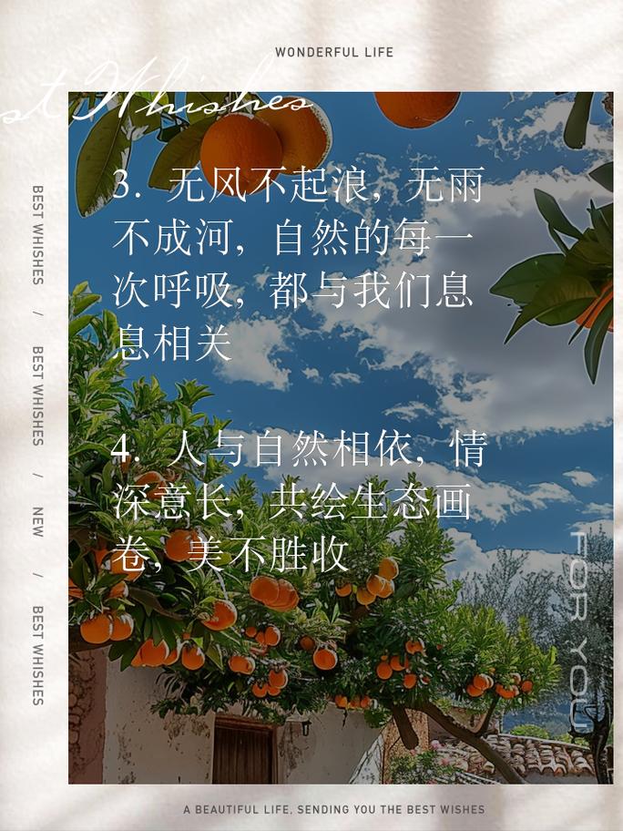 漫花庄园：心灵的诗意栖居与自然的和谐乐章