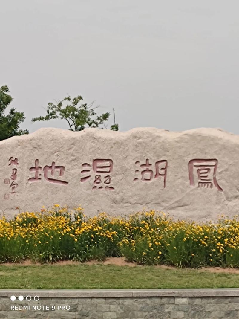 凤凰湖湿地公园：自然与人文交织的生态画卷