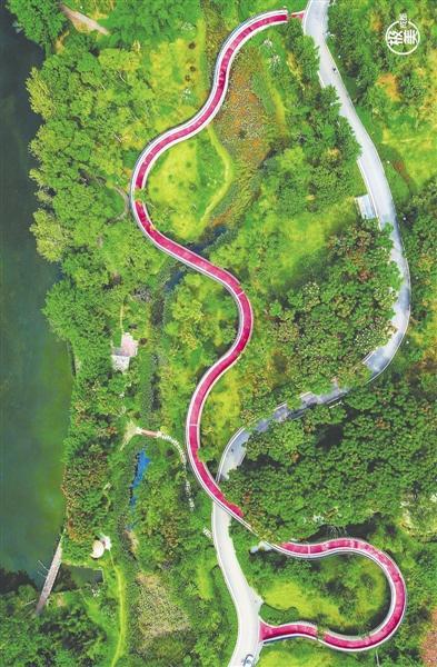 锦城绿道建设：成都的绿色脉动