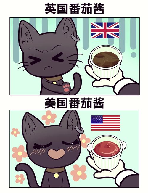 番茄酱：从田间到餐桌的奇妙旅程