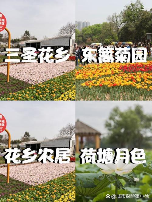 三圣花乡：自然与人文交织的诗意画卷