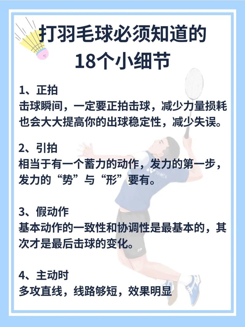 羽毛球的奥秘与魅力
