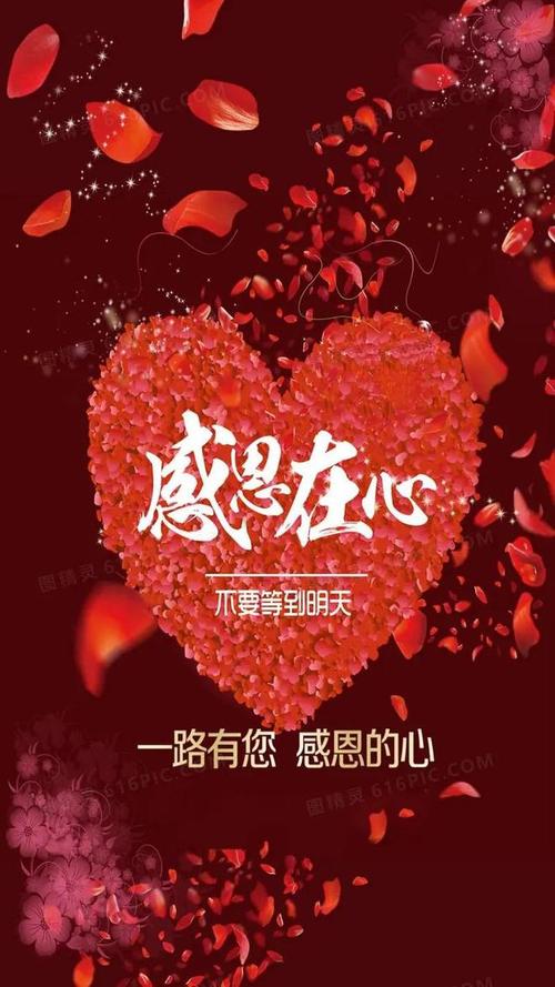 心怀感恩，拥抱生活
